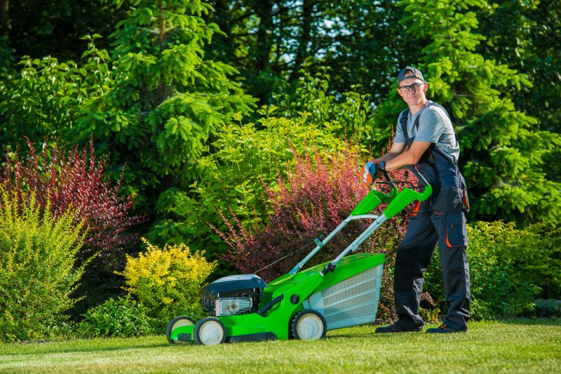 Lawn Regrading