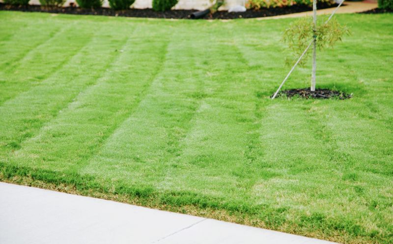Lawn Regrading