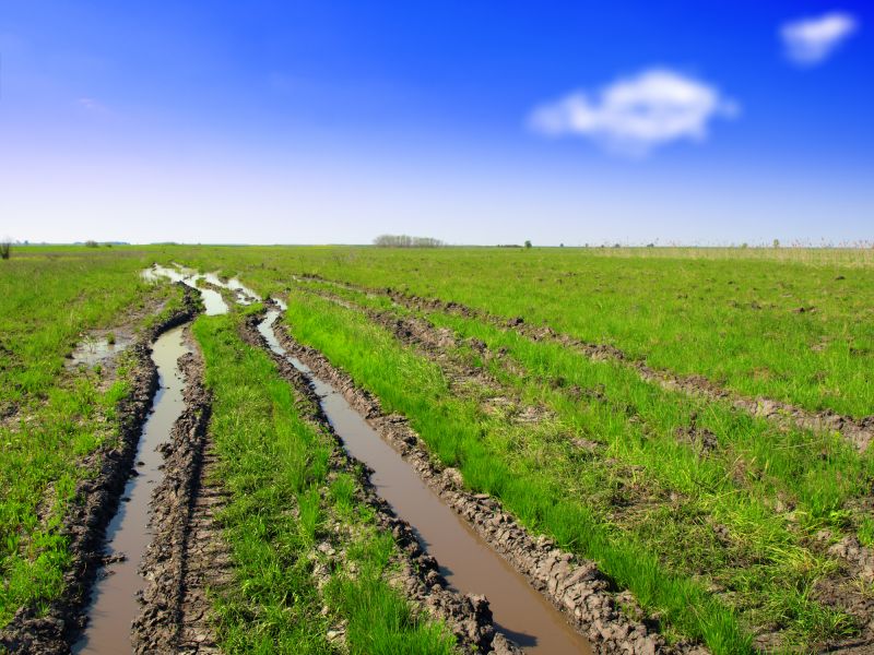 Lawn Before Regrading